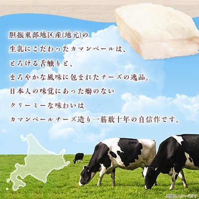 2023年7月発送開始『定期便』角谷 カマンベールチーズセット【125g×4個】全3回【配送不可地域：離島】