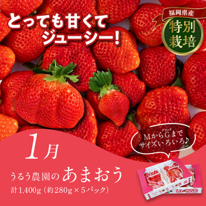 【定期便4回】久留米人気ぐるめ食べ比べ定期便（隔月お届け）_定期便 4回 人気 ぐるめ 食べ比べ 隔月お届け あまおう いちご 5パック ハンバーグ スタミナソース 各5個 自家製煮魚 4切 このみ桜
