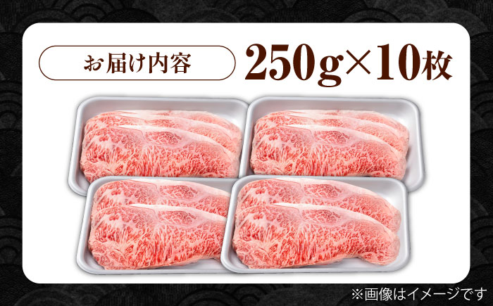 佐賀牛 贅沢サーロインステーキ 250g×10枚（計2500g）/サーロインステーキ　黒毛和牛ステーキ　上質ステーキ ブランドステーキ 国産ブランド和牛ステーキ 上質サーロイン 贅沢【株式会社いろは精