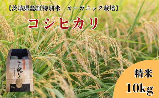 《 令和7年産 》コシヒカリ　精米10kg【茨城県認証米／オーガニック栽培】 ／ 米 こめ コメ お米 おこめ コシヒカリ こしひかり 茨城県認証米 オーガニック 白米  精米 ごはん 令和7年 10kg 送料無料