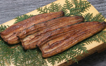 うなぎ 長蒲焼 3枚セット 計約300g うの匠 うなぎ