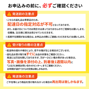 りんごシナノゴールド訳ありCA貯蔵 青森県産 りんご【約3kg】【4-5月クール便】