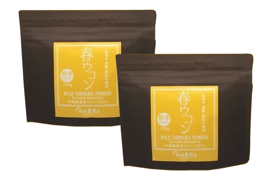 沖縄県糸満産 春ウコン粉末100g 2個セット 116-1