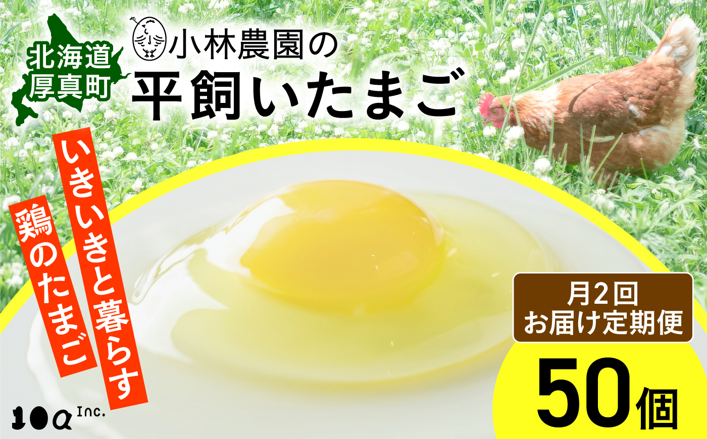 【月2回・全2回定期便】小林農園の平飼いたまご・無投薬 50個《厚真町》【テンアール株式会社】 有精卵 卵 鶏卵 玉子 生卵 平飼い 北海道 定期便 [AXAN019]
