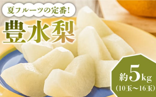 【2026年8月～発送】【口いっぱいのみずみずしさ！】豊水梨 約5kg 梨専門 八木農園 / 梨 なし ナシ / 南島原市 / 贅沢宝庫 [SDZ033]