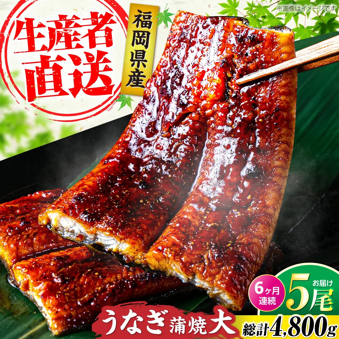 【全6回定期便】福岡県産 うなぎ 蒲焼 大5尾 VAD018 うなぎ
