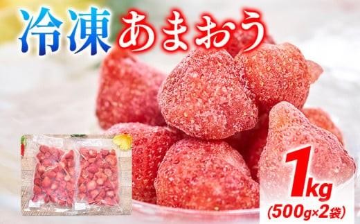 
                  ＜選べる容量＞福岡産 冷凍あまおう 1kgor2kg【CO026/CO027】
                