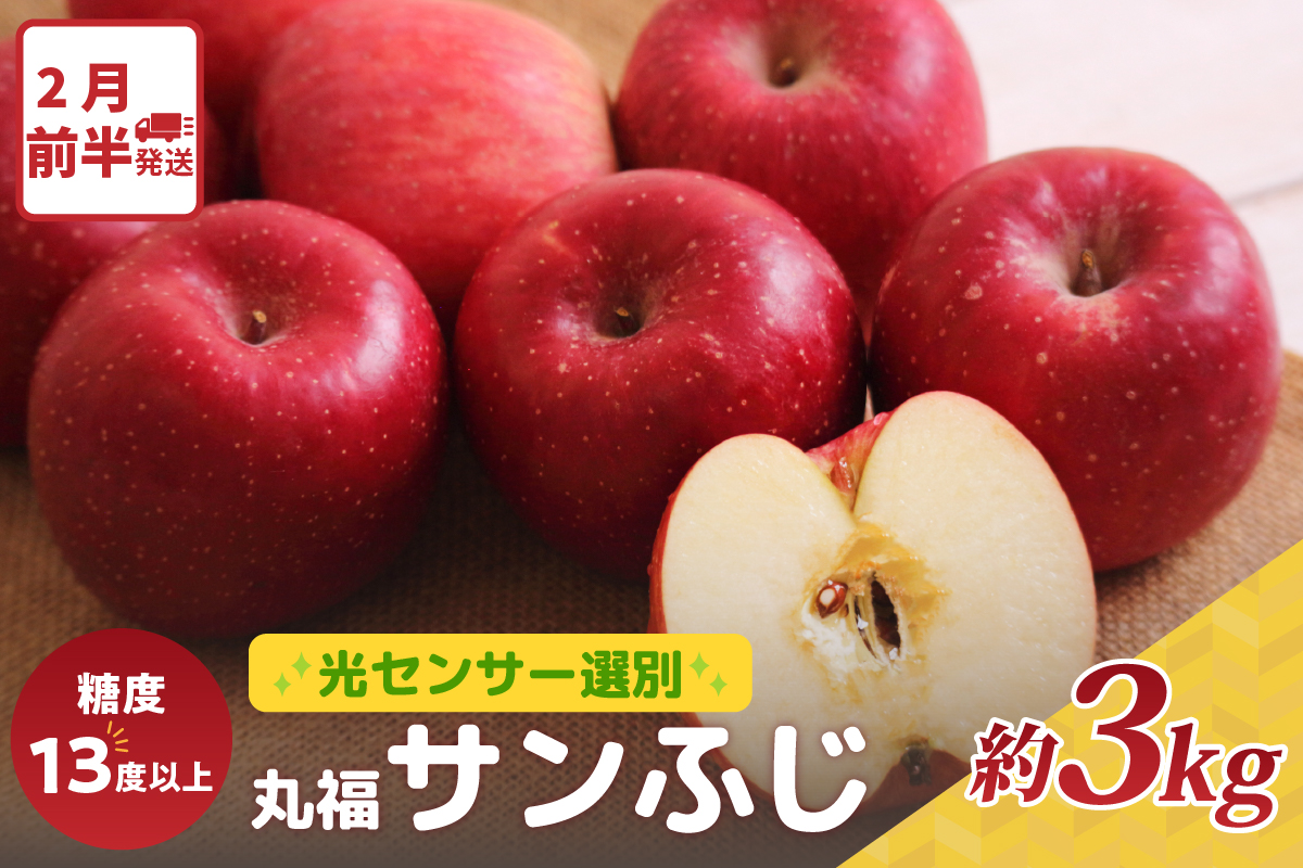 【2026年2月前半発送】 りんご 約3kg ≪丸福≫ サンふじ 【光センサー選果 糖度13度以上】 青森県産