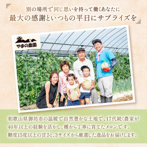 【1269】やまの農園　感謝のメロン～一期一会「べんけい」～2玉≪先行予約≫【2026年7月中旬より順次発送予定】
