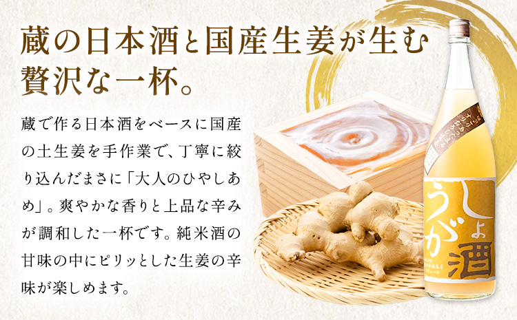 酒 しょうが酒 生姜 お酒 720ml 酒のねごろっく《2025年11月上旬-2026年4月末頃に出荷予定(土日祝除く)》和歌山県 岩出市 お酒 さけ アルコール しょうが 日本酒 お取り寄せ