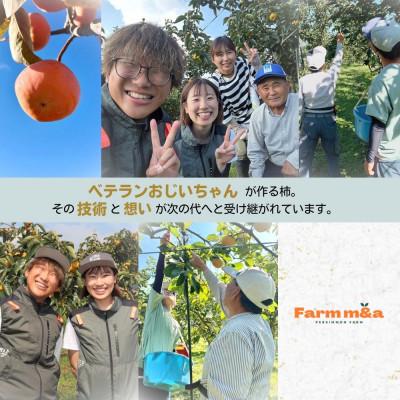 ふるさと納税 大野町 真っ赤で大きくて甘い!【早秋柿】 3L×6個 秀品 岐阜県 大野町(2025年10月中旬〜発送) |  | 03