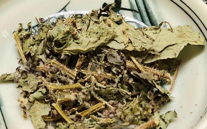 植物界のハーブの女王 お茶  国産 バジル 植物由来 ノンカフェイン 無添加