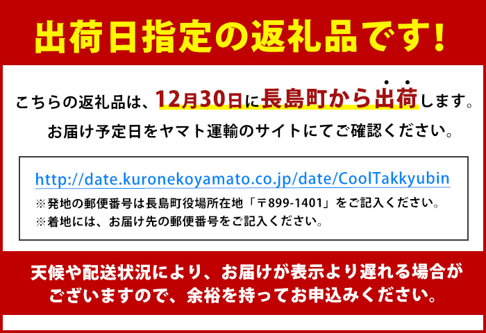 【12月30日発送】長島町特産「鯛王」(2匹・約2.4kg) 産地直送 新鮮 旨味が抜群の 長島町 特産品 ブランド 真鯛 をまるごと 一匹 楽しめる 刺身 鯛めし 鯛茶漬け 鯛しゃぶ 鯛刺身 鮮魚 