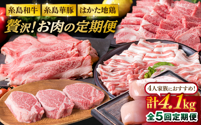 美味しさ 満載 ！ 贅沢お 肉 セット の 定期便 全5回 （月1回） 4人 家族用 【福岡 糸島産 牛肉 豚肉 鶏肉 ステーキ しゃぶしゃぶ すき焼き ヒレ シャトーブリアン ロース】 《糸島》 【糸島ミートデリ工房】 [ACA083] 定期便 博多和牛 豚 地 鶏 牛肉 焼肉 ステーキ すき焼き しゃぶしゃぶ 国産