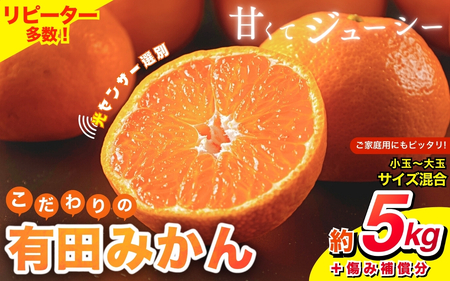 【2025年11月発送予約分】＼光センサー選別／ 【農家直送】【家庭用】こだわりの有田みかん 約5kg＋250g(傷み補償分) 先行予約 有機質肥料100% サイズ混合 【11月発送】【nuk160-1B】 
