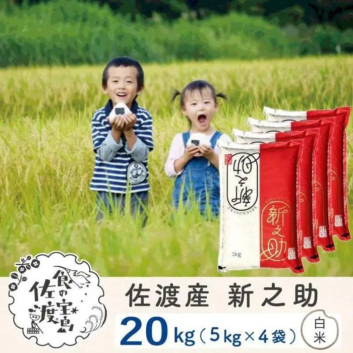 米 白米 20kg (5キロ 4袋）令和7年産 | 新之助 新潟県 佐渡市 195962-1016