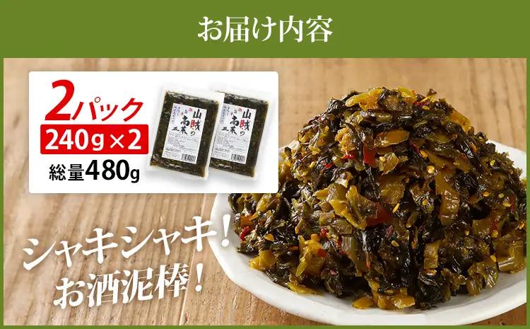 辛子高菜 240g×2パック（480g） 山賊の高菜