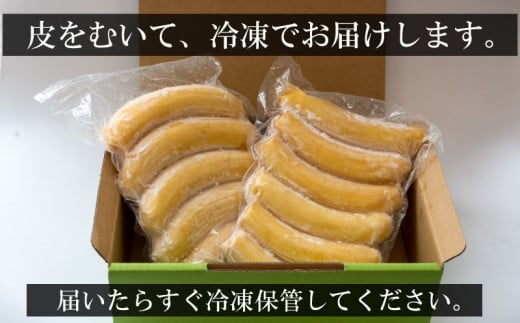よさ恋バナナ 800g × 2 1.5kg 以上 バナナ 冷凍 国産 果物 くだもの 高級 フルーツ 希少 無農薬  高知県 須崎市