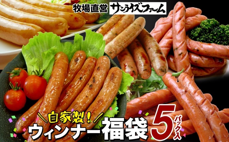 
                  自家製お楽しみウインナー 5パックセットランダム おまかせ 豚肉 フランクフルト ウィンナー あらびき パセリ チョリソ 長ネギ 肉厚 ジューシー 夕食 ご飯 惣菜 おかず おつまみ お酒 送料無料 サンライズファーム 千葉県 香取市  SRF013
                