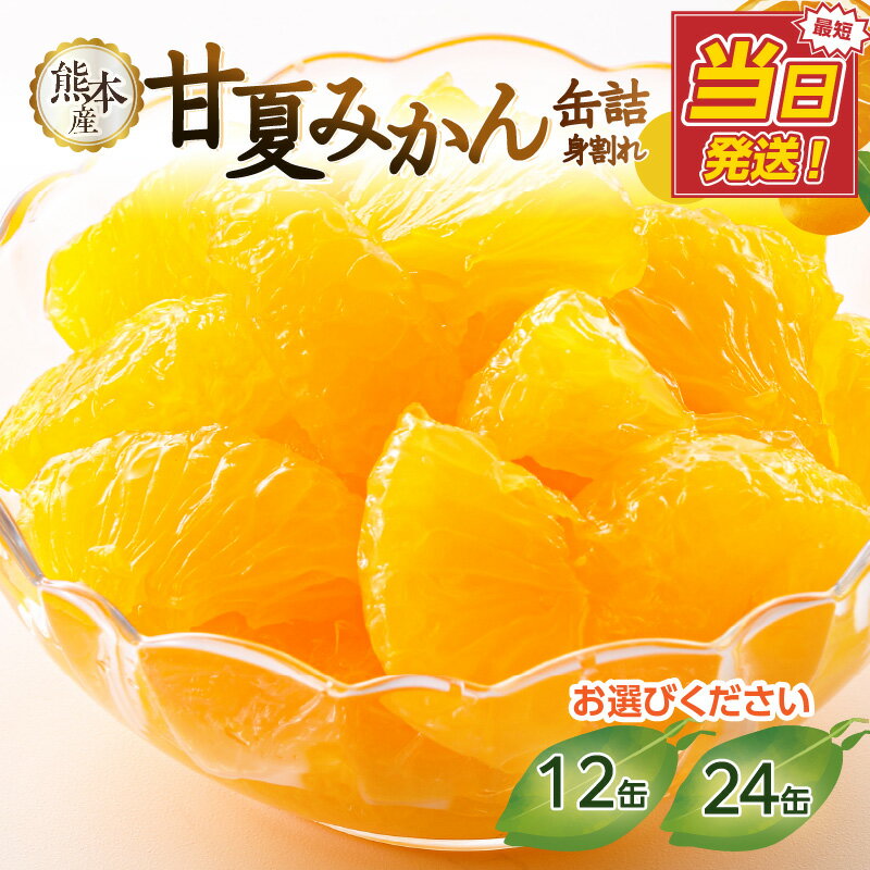 【ふるさと納税】【選べる内容量】【高評価★4.70以上】甘夏みかん 缶詰 （12缶・24缶）（身割れ） フルーツ フルーツ缶詰 缶詰 はちみつ 保存食 非常食 防災 備蓄食 かんづめ 缶詰