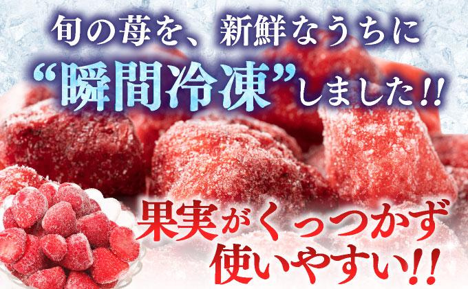 福岡県産 博多冷凍あまおう 約500g×2袋 合計約1kg 約1kg