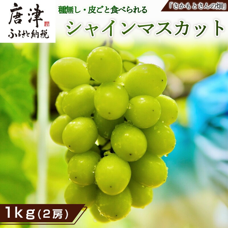 『先行予約』【令和7年9月中旬より順次発送】シャインマスカット1kg 2房 葡萄 ぶどう 果物 フルーツ スイーツ