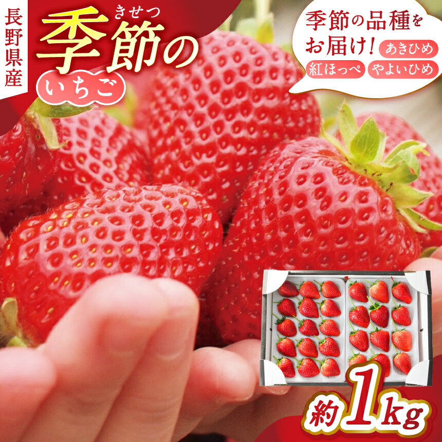 【ふるさと納税】松本産 季節のいちご　約1kg（あきひめ・紅ほっぺ・やよいひめ）│ いちご 苺 イチゴ あきひめ 紅ほっぺ やよいひめ 果物 フルーツ 信州 長野県 松本 ふるさと納税
