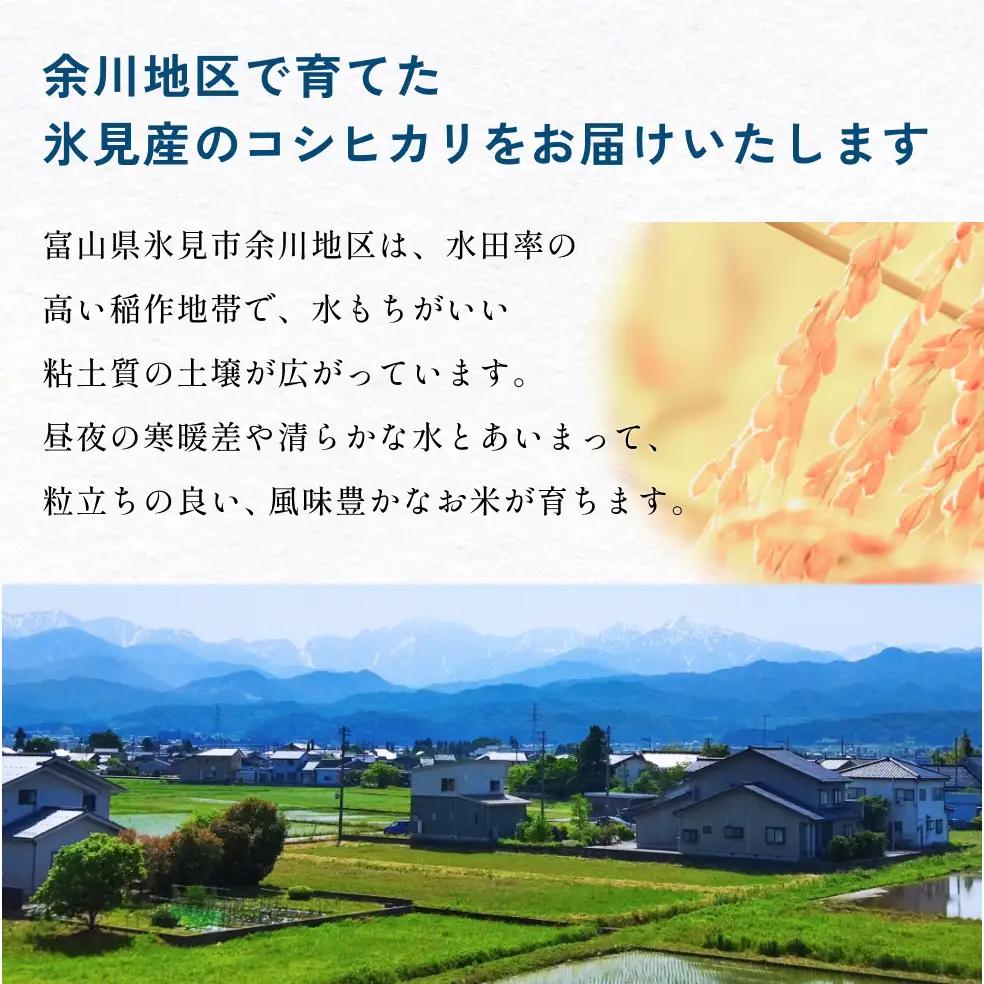 【6回定期便】富山県産 コシヒカリ 5kg  富山県 氷見市 米 コシヒカリ