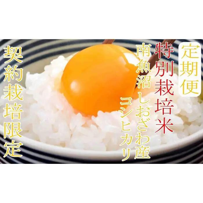 【令和7年産】※定期便：10Kg×3ヶ月※特別栽培 生産者限定  南魚沼しおざわ産コシヒカリ【定期便 銘柄米 ブランド米 精米 こしひかり コシヒカリ 魚沼産 新潟米 産地直送 お米 米 こめ コメ 