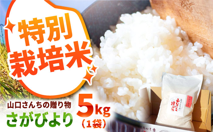 【先行予約】令和6年産新米！ 特別栽培米 さがびより 5kg 白米 山口さんちの贈り物 【y'scompany】米 お米 佐賀県産 [IAS005]