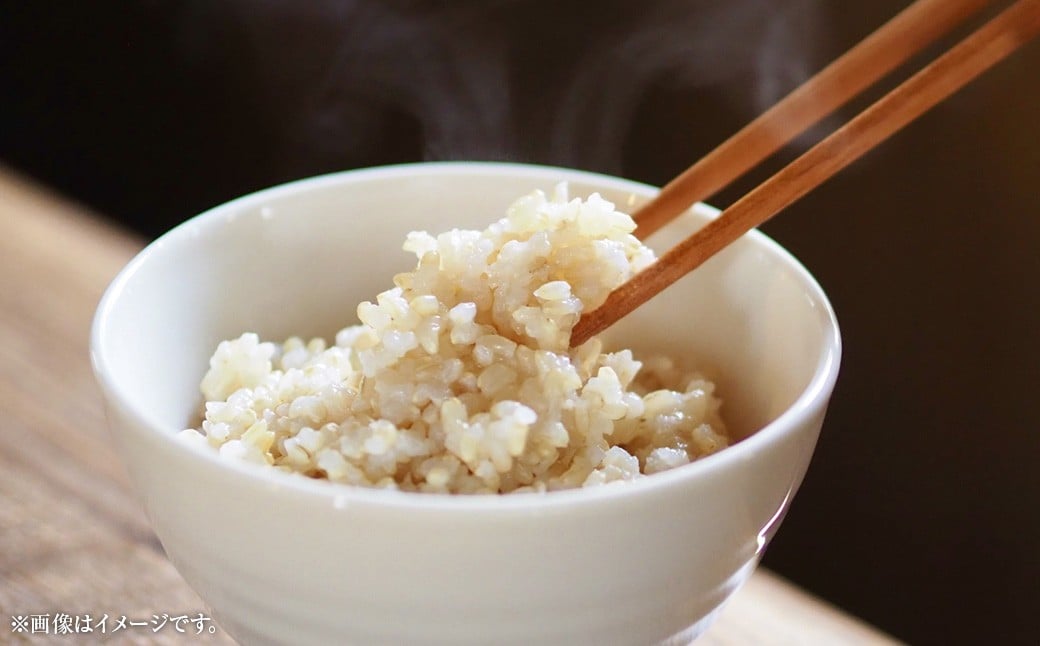 令和7年度産 自然栽培米 ササニシキ 玄米 30kg 農薬 化学肥料 不使用