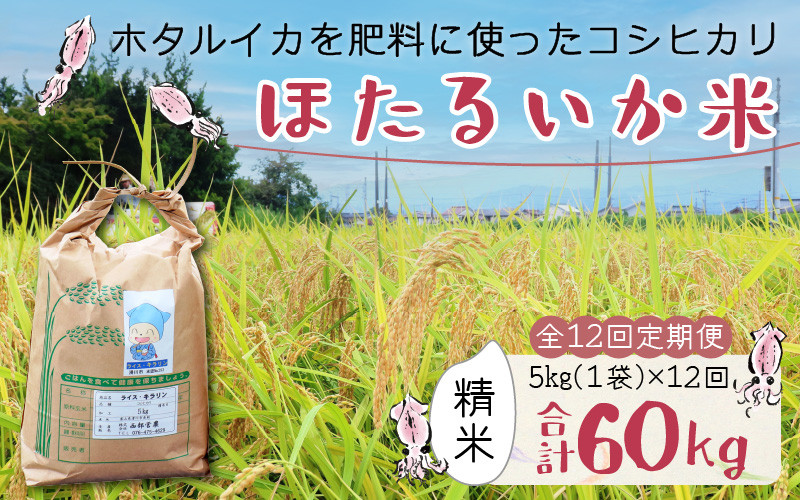 
【訳あり】ほたるいか米（精米５kg）×12回 計60kg【12ヶ月定期便】
