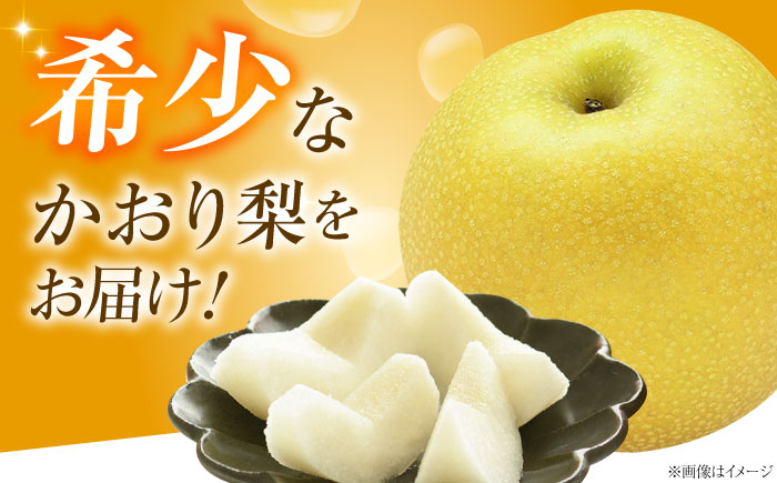 上岡果樹園のかおり梨 5～8玉入り 〈2026年9月～発送〉 ／ フルーツ 果物 くだもの 食品 人気 おすすめ 送料無料 梨 なし かおり梨 季節のフルーツ 【株式会社内子フレッシュパークからり】 