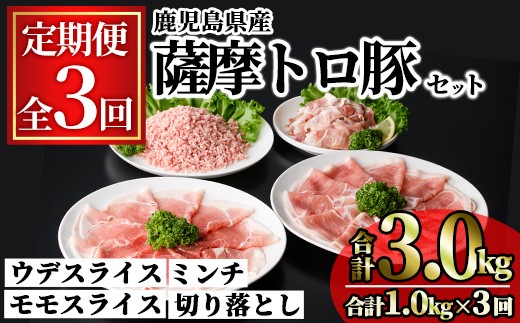 
                  ＜定期便・全3回＞鹿児島県産薩摩トロ豚モリモリおためしパック(合計3kg・1kg×3回) 小分け 冷凍 スライス ひき肉 ミンチ モモ ウデ 切り落とし【KNOT】T79
                