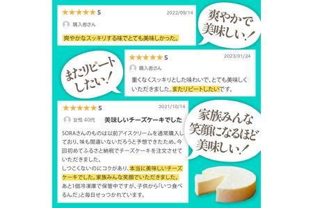 牧場のチーズケーキ（生）1個　（レアチーズケーキ チーズケーキ チーズケーキ）