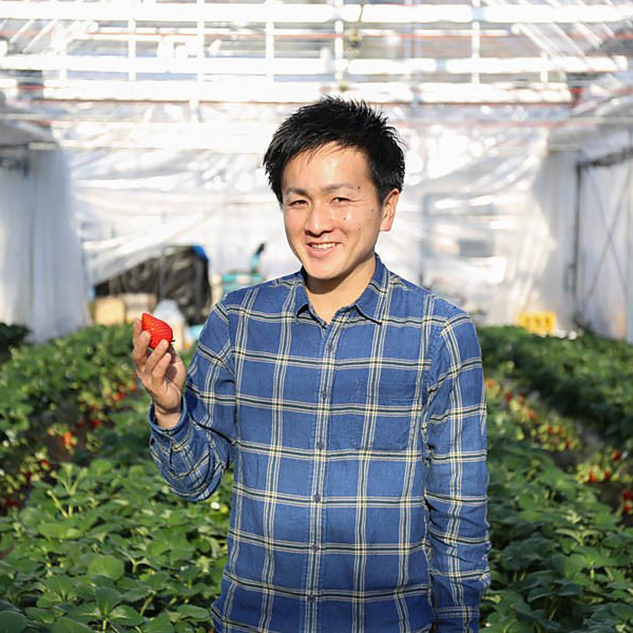 とろける甘さ！完熟朝摘み出荷スカイベリー デラックス