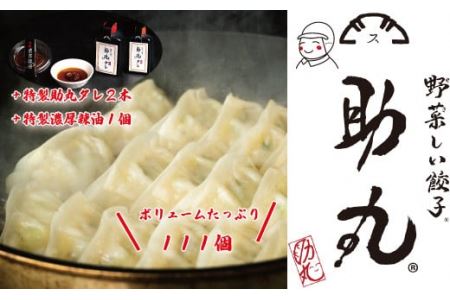 冷凍生餃子 111個 タレ・辣油付 〈丹波産野菜〉 餃子 大容量