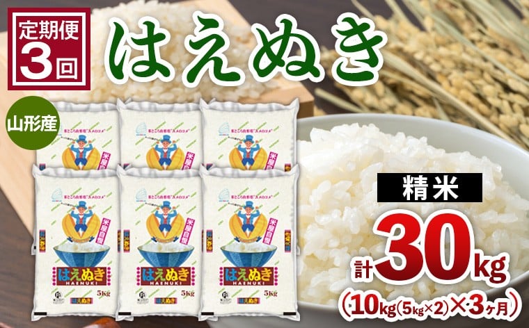 
                  【定期便3回】山形産 はえぬき 10kg(5kg×2)x3ヶ月(計30kg) FZ26-775
                