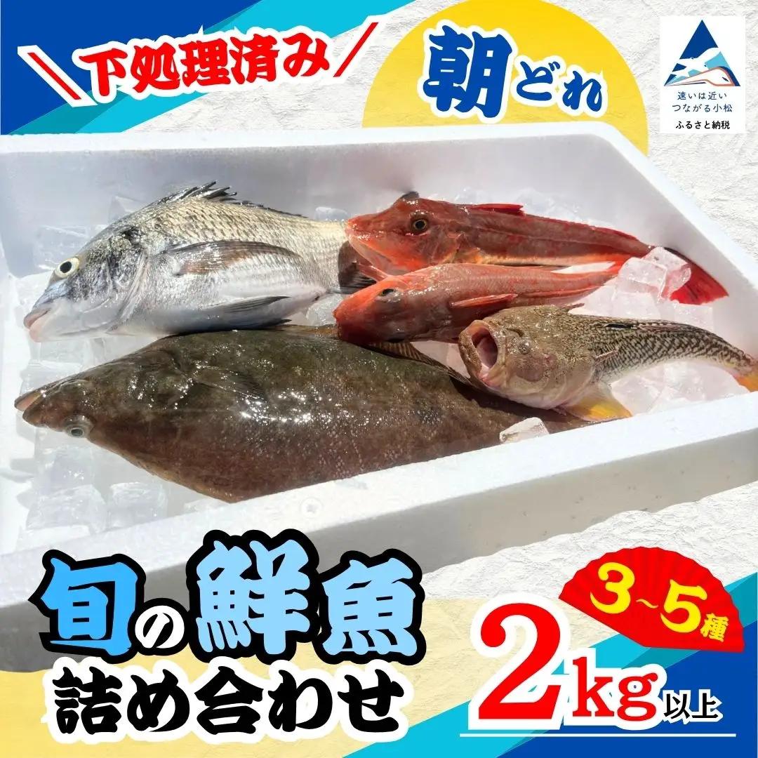 【下処理済み】 旬の鮮魚 詰め合わせ 2kg以上  (3～5種)  安宅漁港 石川県 小松市