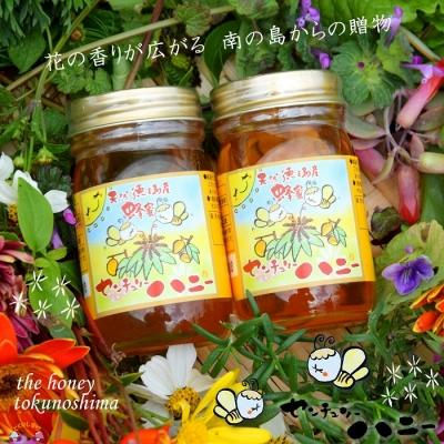 ふるさと納税 徳之島町 〜徳之島のマンゴー農家さんが作ったはちみつ〜センチュリーハニー(2本) |  | 01