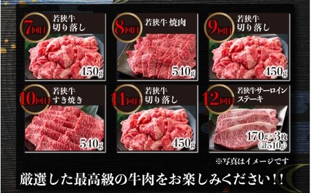 【肉の定期便×12回コース】肉好き大集合！若狭牛 食べ比べ 定期便！【福井のブランド牛肉】【4等級以上】[O-058002]