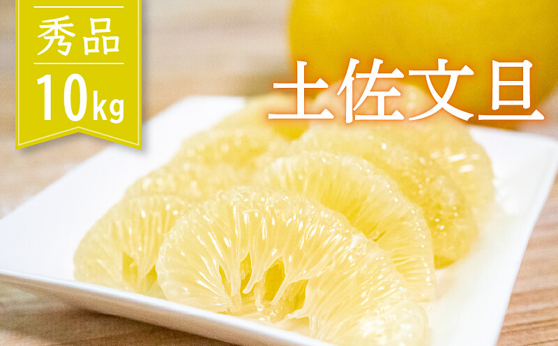 土佐文旦 秀品 10kg  高知県産 柑橘 旬 2027年2月 順次発送 フルーツ 早期受付 文旦 ぶんたん 果物 みかん 蜜柑  お取り寄せ ギフト 先行予約  訳あり 高知 須崎 予約受付中 特産品 旬の味覚 農家直送 お取り寄せ ギフト