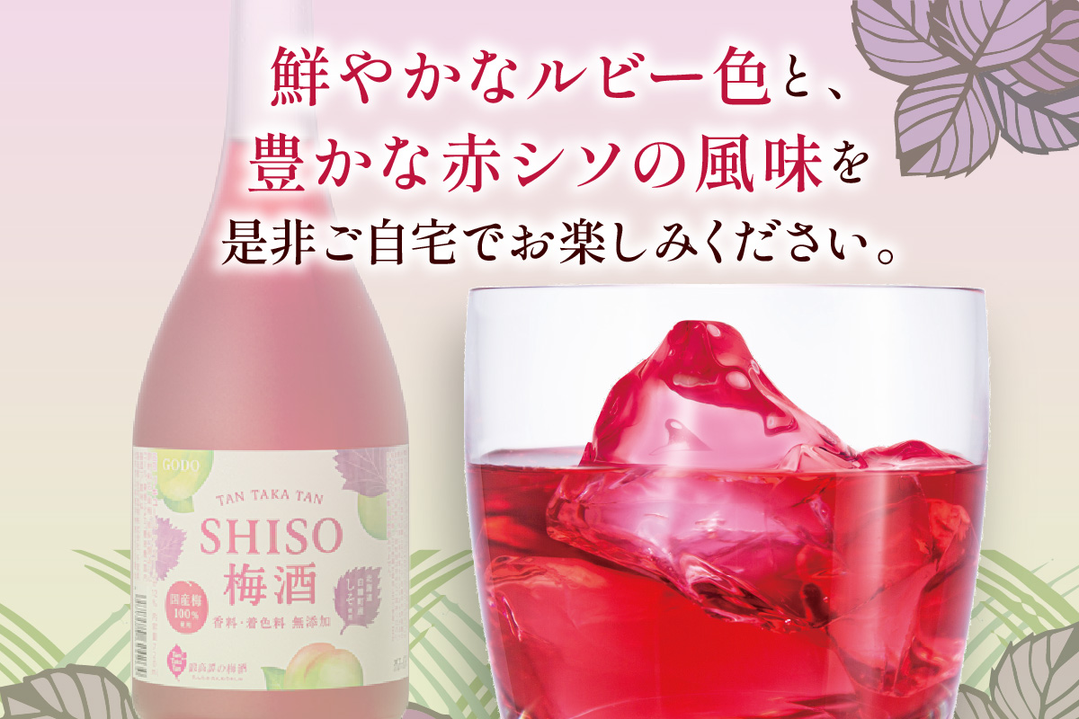 鍛高譚(たんたかたん)の梅酒[720ml]【8本セット】