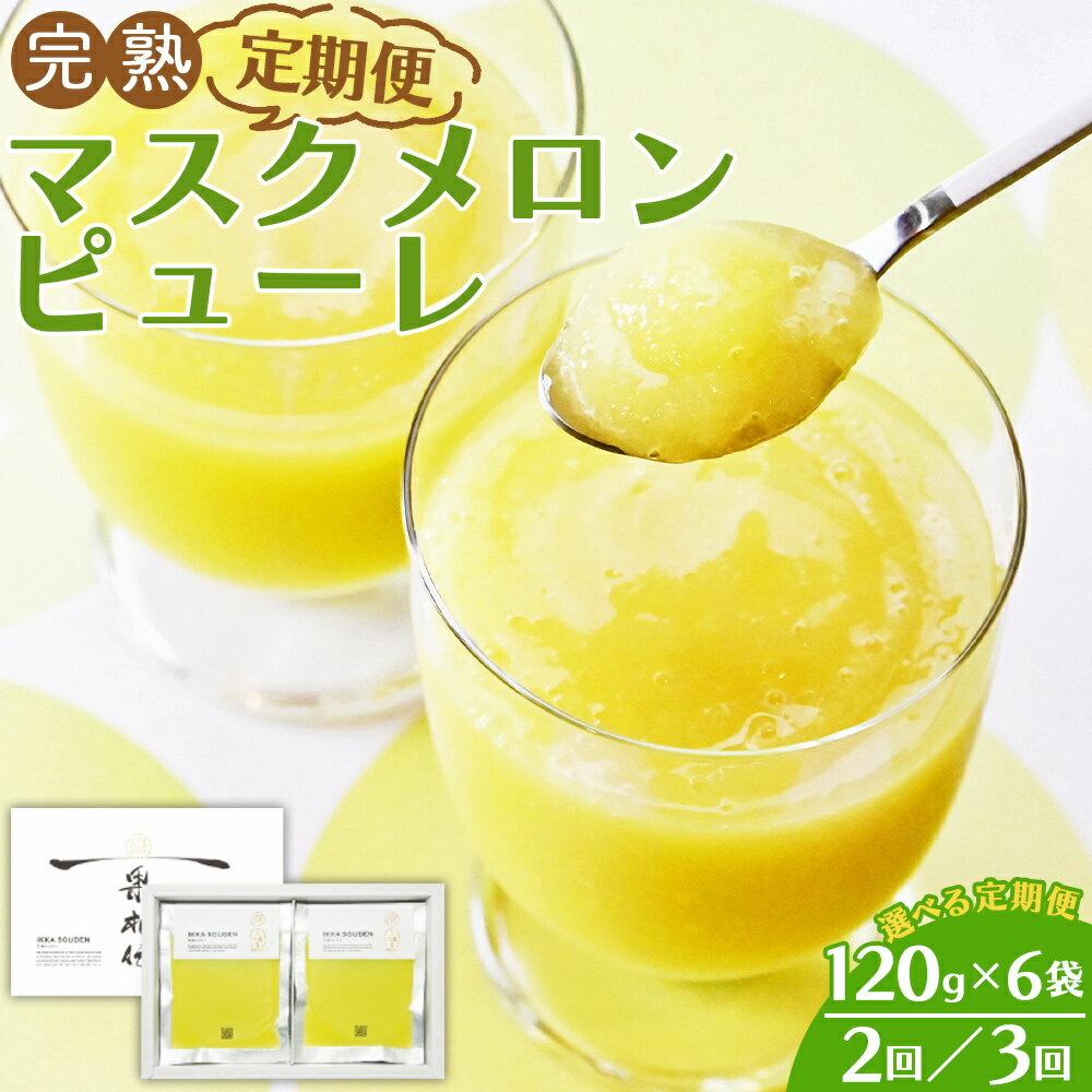 【ふるさと納税】【選べる定期便】完熟マスクメロンピューレ 120g×6袋 選べる定期回数：2回／3回 - JALファーストクラス機内食に採用 果物 くだもの フルーツ めろん 果汁100％ まるごと アイス シャーベット デザート スイーツ 篤農 高知県 香南市【冷凍】