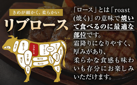 くまもと黒毛和牛 リブロースステーキ 500g 黒毛和牛
