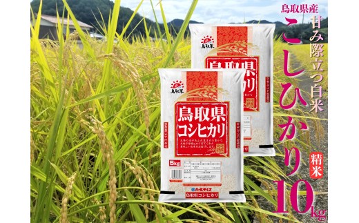 44M.鳥取県産こしひかり◇精米10kg◇令和7年産