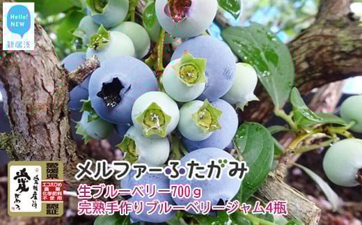 【先行予約】【期間限定】 旬にお届け 完熟生ブルーベリー 700g 完熟手作りブルーベリージャム 4瓶 セット メルファーふたがみ エコえひめ認証  【寄附受付：8月10日まで】