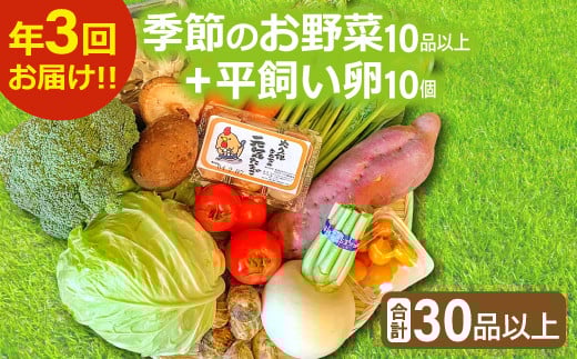 【3回定期便】季節のお野菜と平飼い卵のセット (10~12品) 【定期便 コース 野菜 やさい 旬の野菜 季節の野菜 おまかせ 採れたて 減農薬 減化学肥料 新鮮 10～12品 卵 たまご 平飼い卵 10個 破損保証 4個 詰め合わせ セット 冷蔵 全3回 定期】