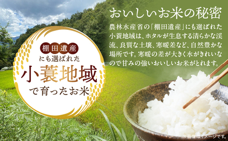 特別栽培米「小蓑米」と ご飯のおとも（にんにく味噌とやみつきメンマセット） | お米 ご飯 ごはん 白米 にんにく 味噌 メンマ お供 朝ごはん 香川県 三木町 プレゼント 贈り物 国産 ブランド米 
