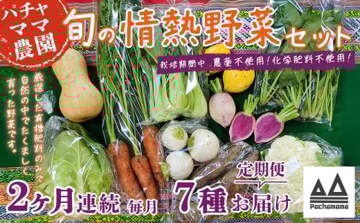 【2ヶ月連続お届け】農園自慢の情熱野菜セット（7品）【野菜 詰め合わせ お任せ 季節物 定期便 セット 山芋 パセリ わさび菜 ポップコーン かぶ 人参 里芋 たまねぎ 玉ねぎ ルッコラ ほうれん草 春菊 大根 芽キャベツ レタス じゃがいも さつまいも とうもろこし そら豆 枝豆 パクチー ビーツ ほうれん草 キャベツ ピーマン なすトマト かぼちゃ】